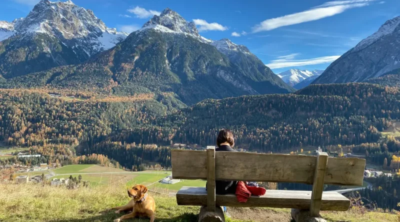 Viajar com seu animal de estimação oferece uma experiência incrível e enriquecedora. Atualmente, muitos destinos ao redor do mundo estão preparados para receber nossos amigos de quatro patas.